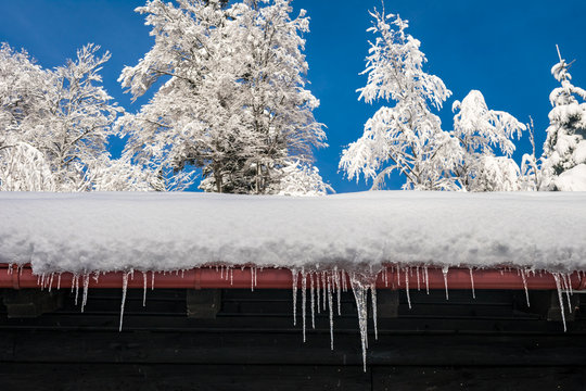 View of icicles hanging from a snowy rooftop of a wooden mountain cottage, hut or house with trees covered in snow and clear blue sky in the background, beautiful winter or Christmas scene