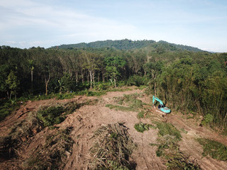 Deforestation, logging, destruction of rainforest
