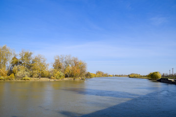 Fototapeta premium Autumn landscape. River bank with autumn trees. Poplars on the b