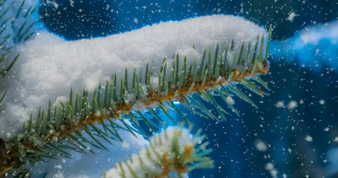 CINEMAGRAPH, 4k, falling snow in the winter forest, loop