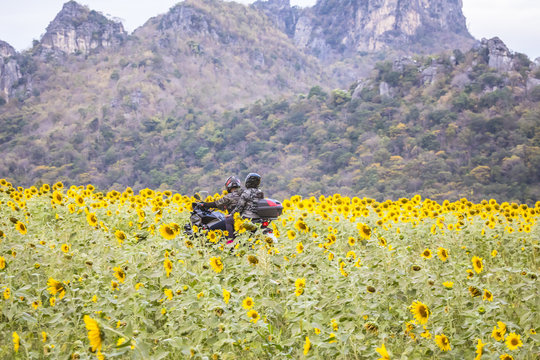 Motorbike on the beautiful sunflowers field
