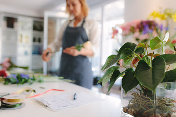 Small plant with female florist working at flower shop
