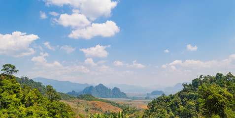 Forest landscape at Khao Yai national park, Thailand