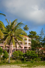 Fototapeta premium Tropical palms on sand beach
