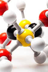 Molecular Model