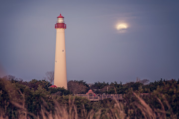 Sentinel of the Jersey Cape