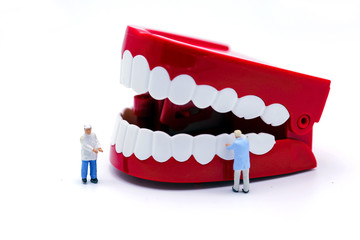 miniature people clean tooth model