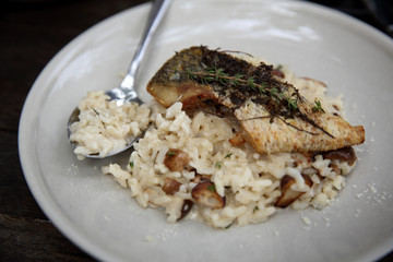risotto with sea bass fillet steak on wood background , italian food