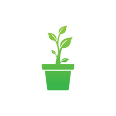 Plant logo design vector