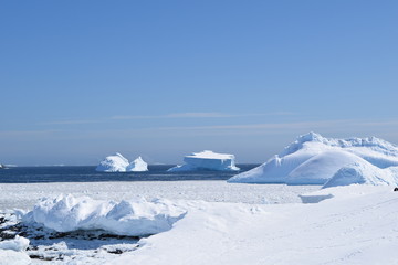 Fototapeta na wymiar antartica