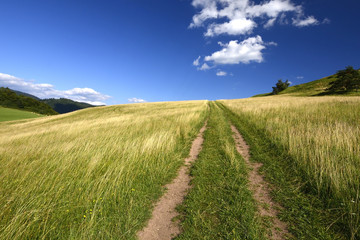 Dirt road in a grassy meadow