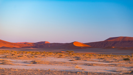 Sand dunes in the Namib desert at dawn, roadtrip in the wonderful Namib Naukluft National Park, travel destination in Namibia, Africa. Morning light, mist and fog.