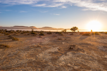 Sand dunes in the Namib desert at dawn, roadtrip in the wonderful Namib Naukluft National Park, travel destination in Namibia, Africa. Morning light, mist and fog.