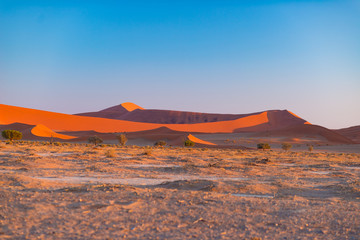 Fototapeta na wymiar Sand dunes in the Namib desert at dawn, roadtrip in the wonderful Namib Naukluft National Park, travel destination in Namibia, Africa. Morning light, mist and fog.