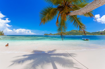 Fototapeta na wymiar plage des Seychelles à Mahé 