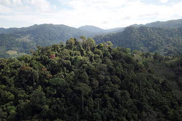 Fototapeta na wymiar Rainforest mountain aerial landscape