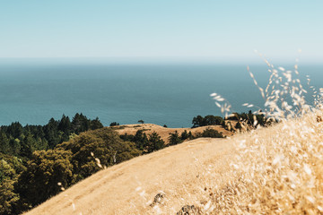 Coastal views from Bolinas Ridge Mt Tam