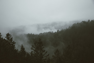 foggy mountain rainy day IV