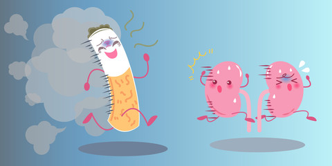 kidney with health concept