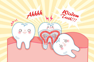 cute cartoon wisdom teeth