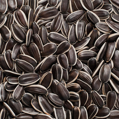  Sunflower seeds in the form of a background 