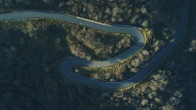 The aero shot of woodland and local logistics linking. Panorama in movement above windy pathway. The helicopter flying and turning, wild curvy switchback with no cars, autumn daily area, point of view