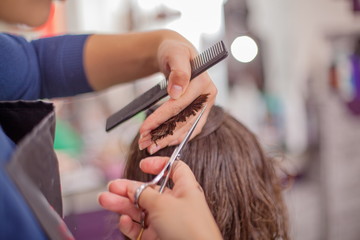 Obraz na płótnie Canvas Woman Receiving Haircut