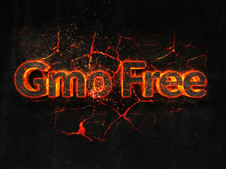 Gmo Free Fire text flame burning hot lava explosion background.
