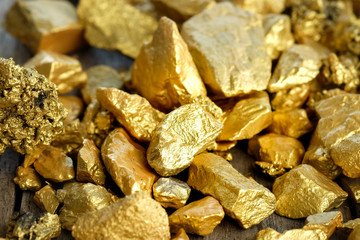 The pure gold ore found in the mine on a wooden floor