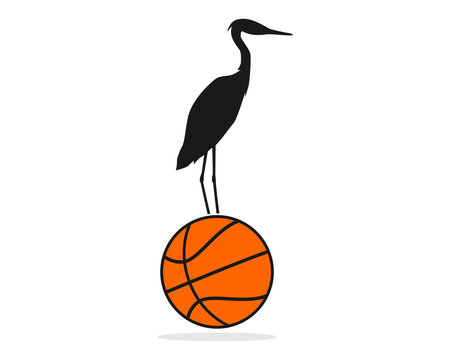 stork basketball illustration vector