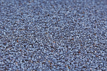 Poppy seed. Poppy seeds as background. Papaver,Ranunculales Papaveraceae