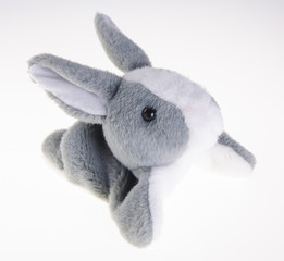 Fototapeta na wymiar baby soft toy. cute rabbit soft toy