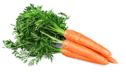 Fresh Carrots