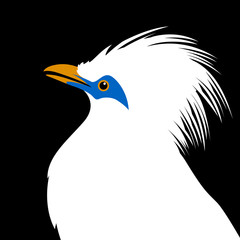 bali mynah bird head vector illustration flat style profile