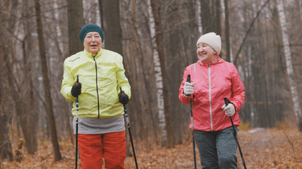 Two elderly woman in autumn park have modern healthy training - nordic walking