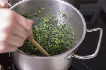 Kochen mit Gründkohl, Spaghetti im Kocktopf