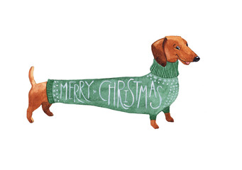 Dachshund Christmas dog in a green sweater watercolor