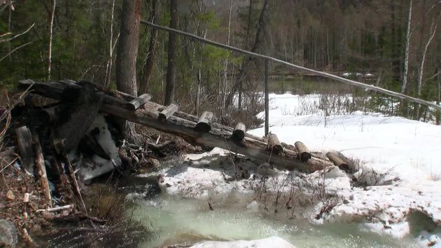 Stream in spring Siberia of Russia. Power of water of melting snow. Nature in forest.