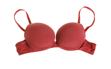 Female bra on white background.