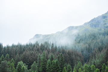 Scenic Landscape View of Mountain Forest with Fog, in Scottish Highland.