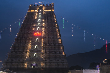 Obraz na płótnie Canvas Thiruvannamalai Temple & Hills