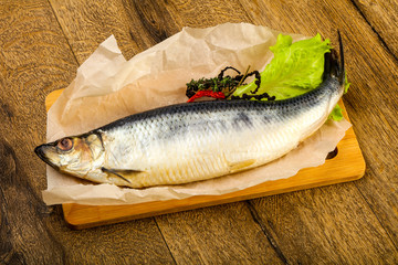Herring fish