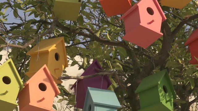 Colourful Wooden Bird Houses On the tree. Illustrate housing problem and mortgage loan