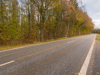 Straße im Herbst