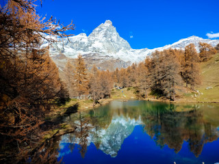 Fototapeta na wymiar Vista panoramiva di una valle alpina con i suoi pini maestosi in primavera