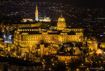 Fototapeta na wymiar Buda Castle - Budapest