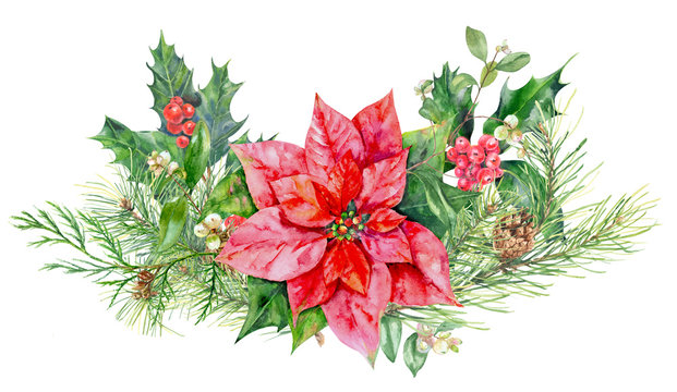 Christmas Bouquet, Garland Of Plants: Pine Branches And Cones, Holly Berry And Poinsettia Flower On White Background, Hand Draw Watercolor Painting, Botanical Illustration, Vintage