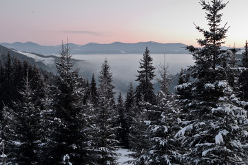 Sleeping foggy winter valley