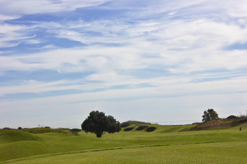 Fototapeta na wymiar Golf course in Belek. Green grass on the field. Blue sky, sunny day