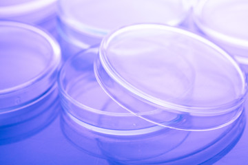 Petri dishes close up